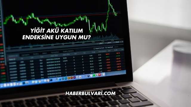 Yiğit Akü Katılım Endeksine Uygun mu?