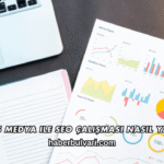 Mukas Medya ile SEO Çalışması Nasıl Yapılır?